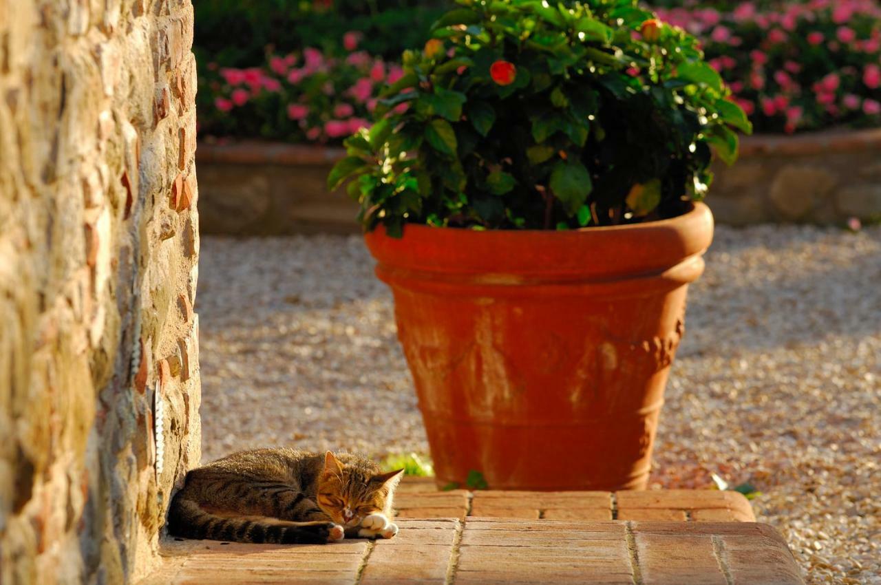 Hotel Relais Borgo Torale Passignano sul Trasimeno Exteriér fotografie